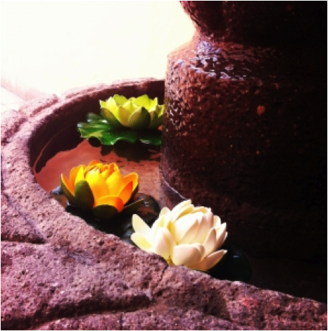 flower in fountain